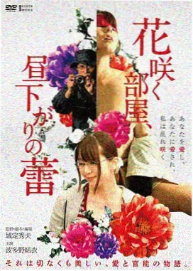 南部探案血色档案 免费在线观看